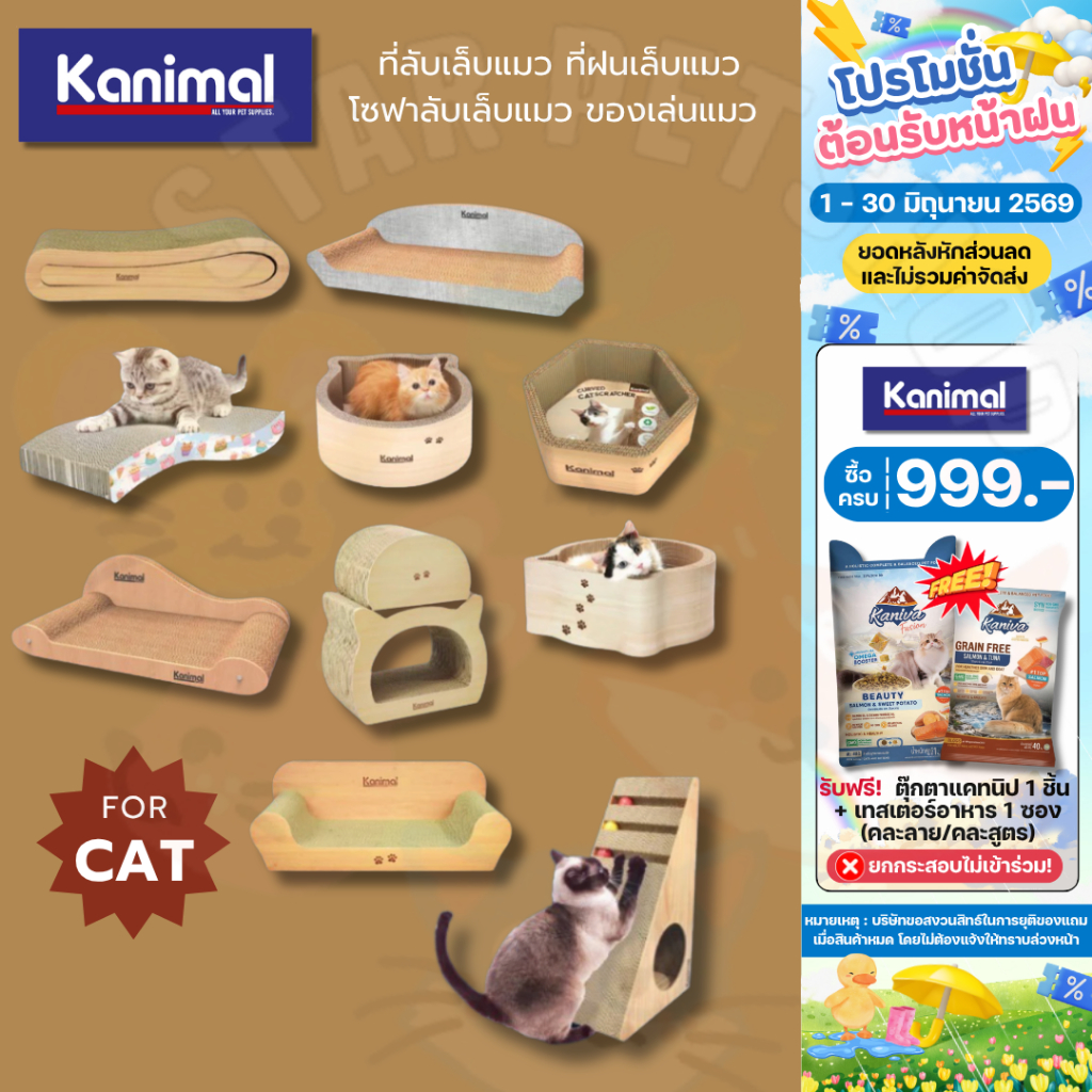 Kanimal คานิมอล ที่ลับเล็บแมว ที่ฝนเล็บแมว โซฟาลับเล็บแมว ของเล่นแมว ที่ฝนเล็บหัวแมว ของเล่น