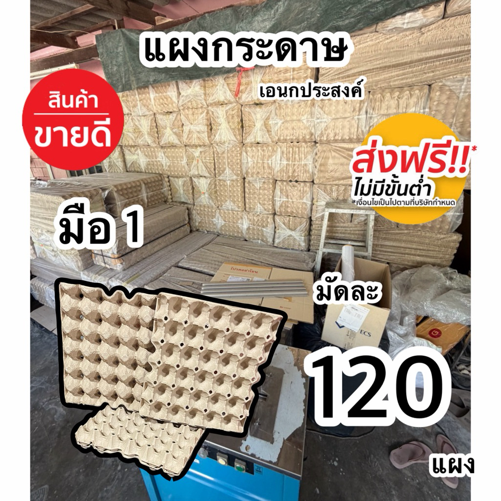 แผงไข่กระดาษ มือ1 มัดละ120แผง ส่งฟรี(ส่งด่วน1วัน)