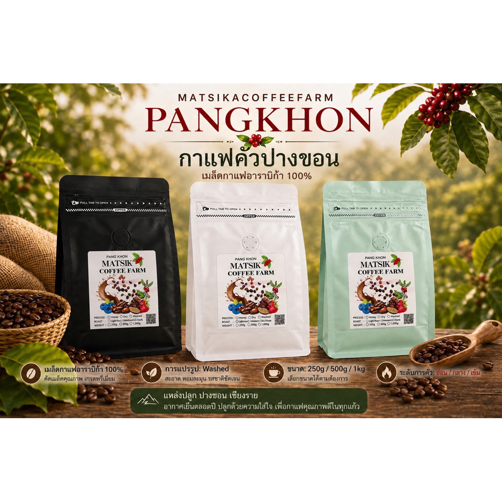 เมล็ดกาแฟคั่ว กาแฟปางขอน เกรดพรีเมี่ยมอาราบิก้าแท้100%