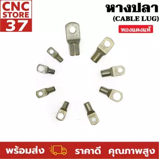 หางปลาทองแดงชุบดีบุก SC ทรงยุโรป หางปลาขอบตัด SC6-6,SC6-8,SC10-6,SC10-8,SC 16-6,SC16-10,SC25-6,SC35-8,SC50-8 (1 ชิ้น)