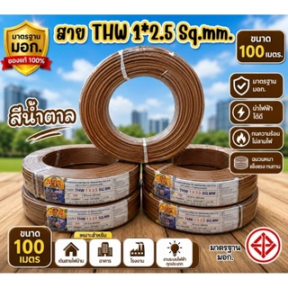 สายไฟ THW 1×2.5 ความยาว 100 เมตร สายเดี่ยวทองแดง (ไม่ระบุยี่ห้อ)