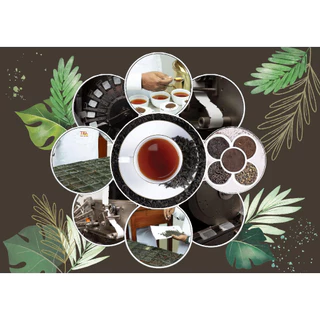 ทีเทรน ชาเอิร์ลเกรย์(Tea Trends)