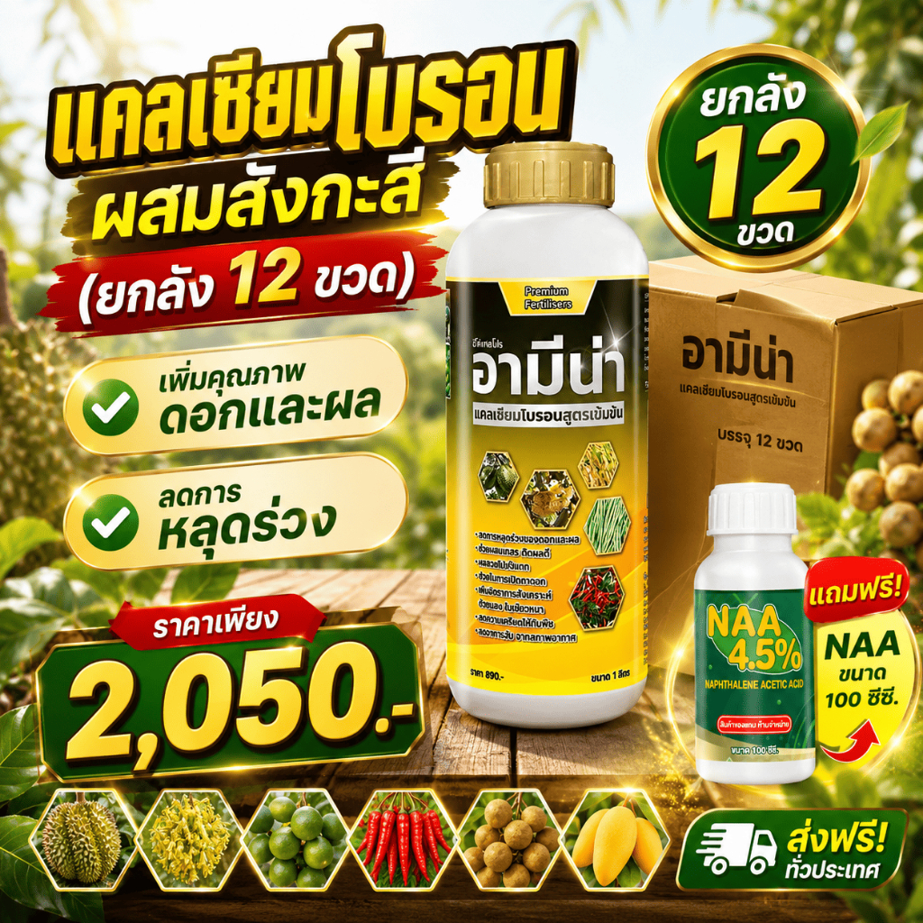แคลเซียมโบรอน (ยกลัง12ขวด) แถมNAA1ขวด ลดการหลุดร่วง ช่วยให้พืชดูดซึมธาตุอาหารดีขึ้น 12ลิตร
