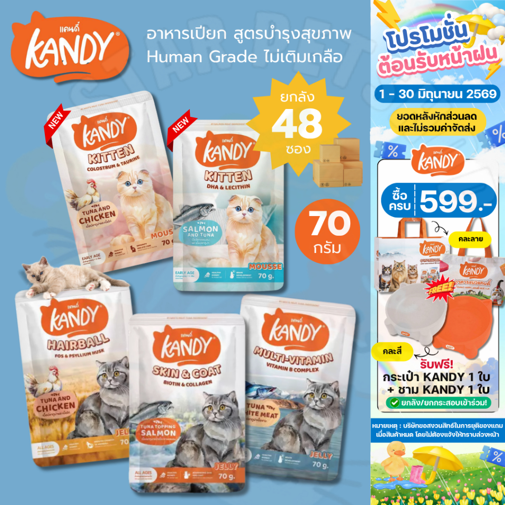 Kandy อาหารเปียก แคนดี้ Holistic Grain free ทูน่าเนื้อขาว ไม่เติมเกลือ บำรุงสุขภาพ ขนาด 70g*48ซอง