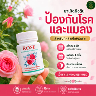 Rosy ยาเม็ดฝังดิน ป้องกันก่อนเกิดโรคและแมลง คุมนาน 1 เดือน เสริมภูมิต้านทาน ผนังเซลล์แข็งแรงทนต่อการเจาะดูดของแมลง