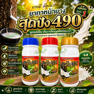 สุดปัง490 อาหารเสริมสำหรับทาหน้ายาง ขนาด 500 cc ดูแลหน้ายาง สารเพิ่มประสิทธิภาพพืช สำหรับยางพารา