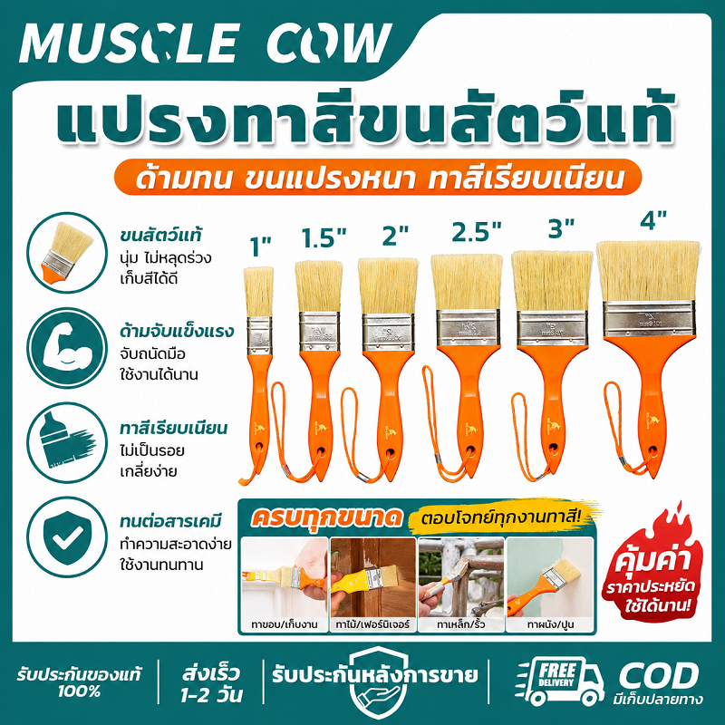 MUSCLE COW แปรงทาสีขนสัตว์แท้ 1-4" ด้ามทน ขนแปรงหนา ทาสีเรียบ ทนทาน สำหรับงานทาสี ตกแต่ง