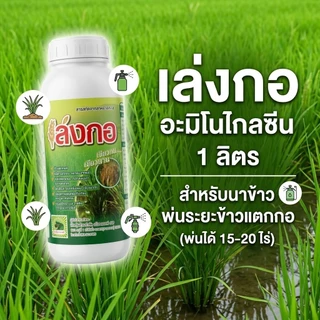 ฮอร์โมนสำหรับนาข้าว อะมิโนสาหร่ายทะเล เล่งกอ 1 ลิตร ข้าวแตกกอดี แตกรากยาว หาอาหารเก่ง ใบเขียวดำตั้งตรง ต้านโรคและแมลง