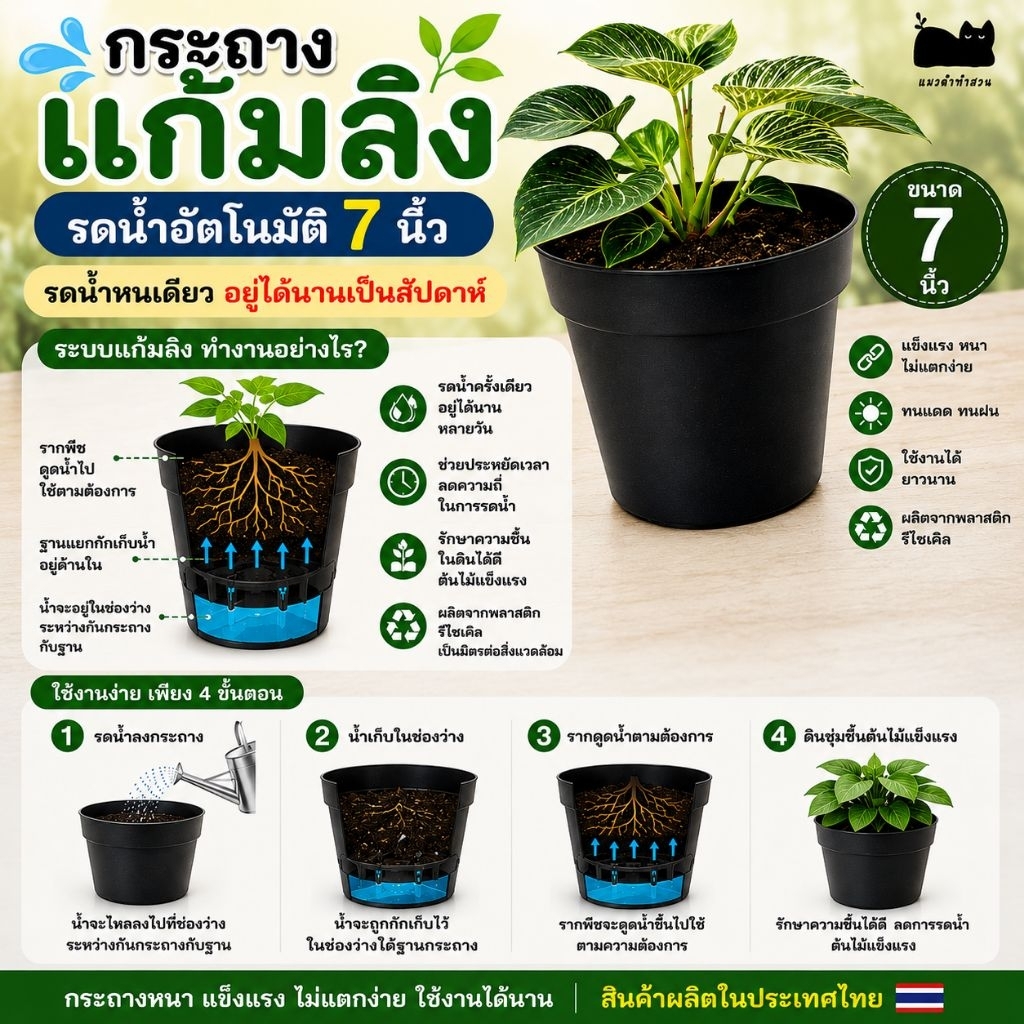 กระถางใส กระถางต้นไม้ กระถางแก้มลิง ขนาด 7"  ราคาโรงงาน กระถางต้นไม้ใส รดน้ำหนเดียวอยู่ได้หลายวัน