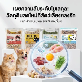 PETLUSCI ขนมแมวเลีย อกไก่ฟรีสดราย 100% ฮิวแมนเกรด ขนมแมวฟรีสดราย รสชาติต่างๆ สำหรับแมวและสุนัข