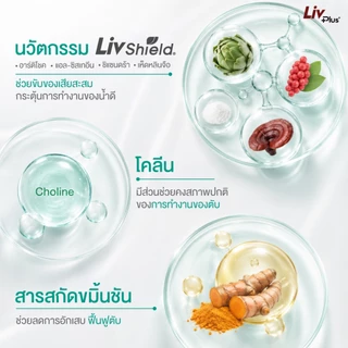 ลิฟพลัส เดลี่ Livplus Daily 2 กล่อง (60 แคปซูล)
