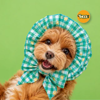 สินค้าพร้อมส่ง YUPPY! Snood For Dog and Cat ผ้าคลุมหูสัตว์เลี้ยง สำหรับ หมาและแมว เสื้อผ้าสัตว์เลี้ยง