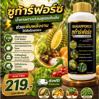 ซูก้าร์ฟอร์ซ น้ำตาลทางด่วน สูตรเข้มข้น ซอบิทอล ไม่มีไนโตรเจน เพิ่มความหวาน เพิ่มคุณภาพผลผลิต 1 ลิตร