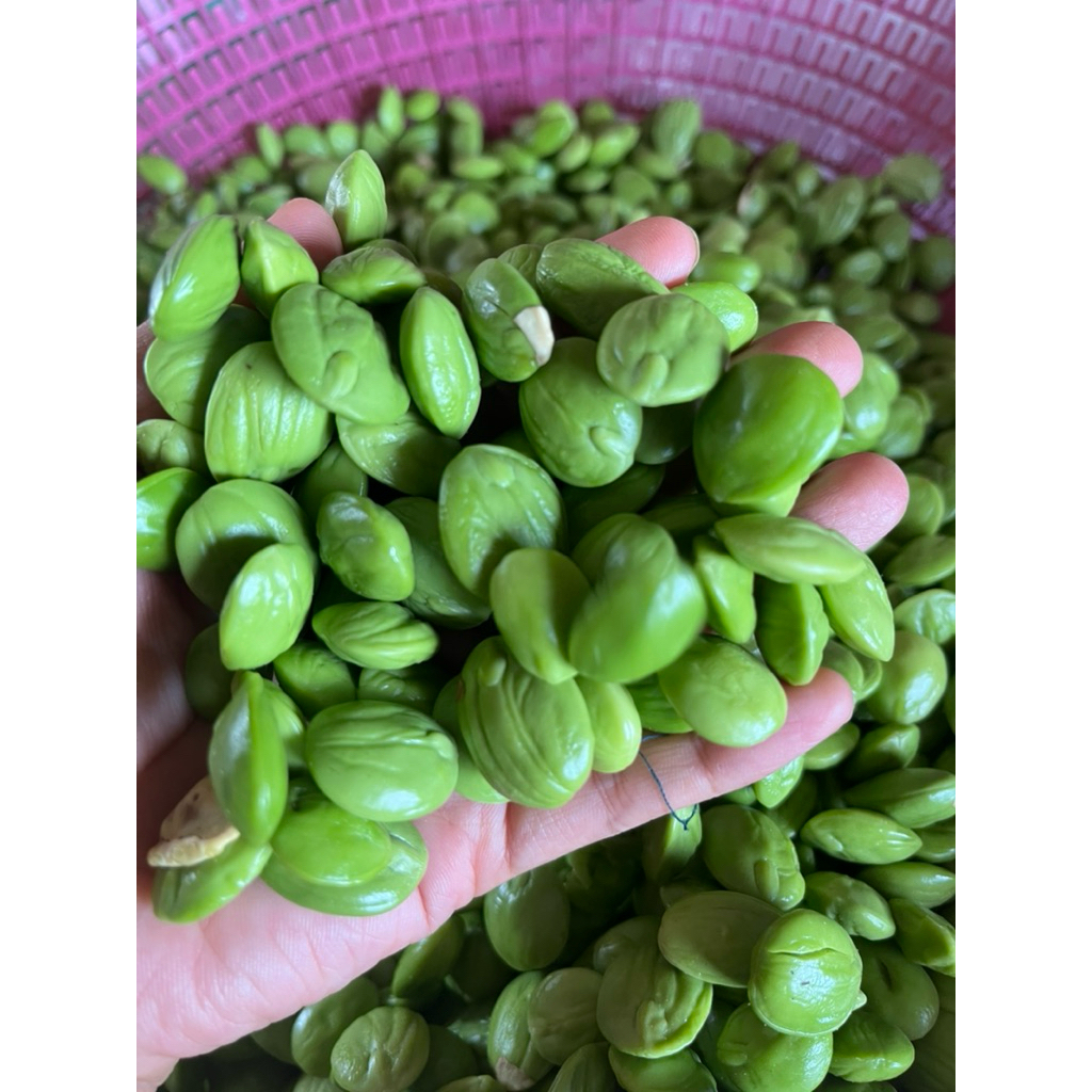 สะตอข้าวแกะ เม็ดเล็กสวย ขนาด500กรัม