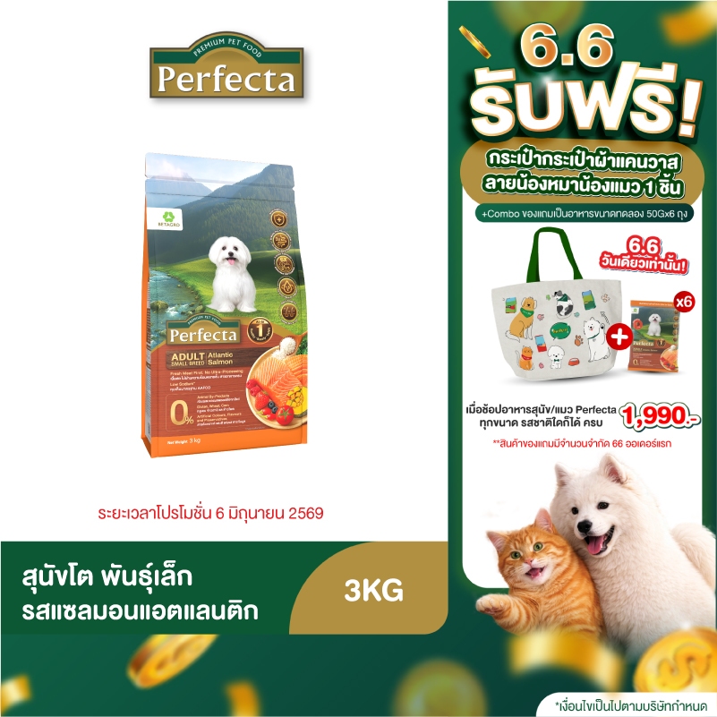 Perfecta Wellness สุนัขโต พันธุ์เล็ก สูตรแซลมอน 3 KG