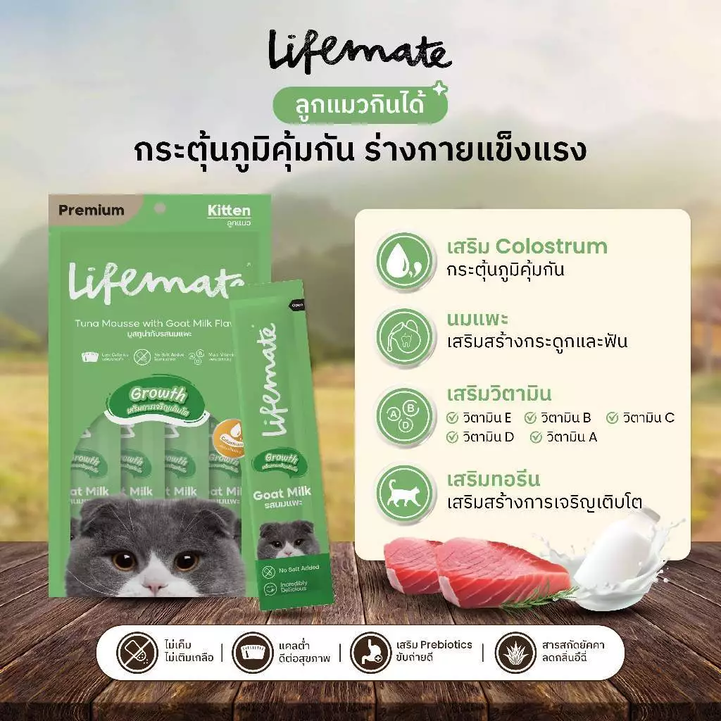 ขนมแมวเลีย Lifemate Cat Mousse Creamy แบบ 48 ซอง (อายุสินค้าน้อยกว่า 6 เดือน) thumbnail 4