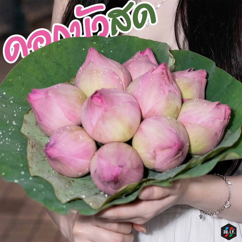 ช่อดอกบัวสด 🌸 ส่งด่วน 2-4 ชม.สีชมพู สีขาว  มี 10 และ 19ดอก