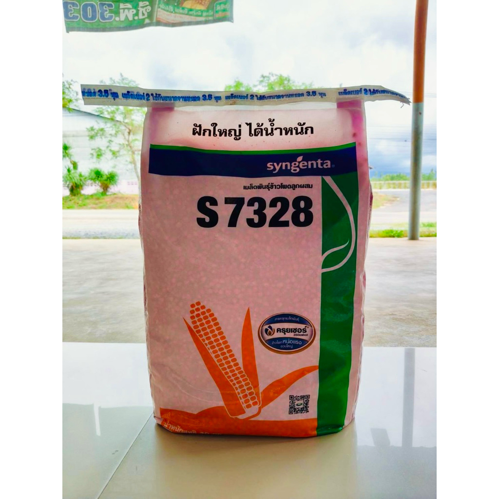 เมล็ดพันธุ์ข้าวโพด NK7328 ขนาด 3.5หุน เมล็ดพันธุ์สำหรับอาหารสัตว์