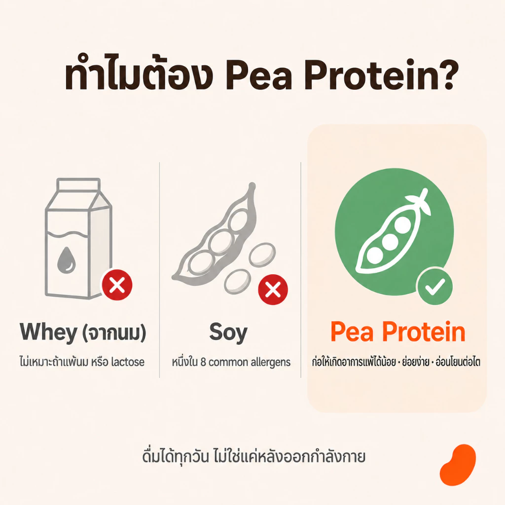 PlantUp Daily โปรตีนพืชใส Clear Pea Protein 23g รสขิงขมิ้นเลมอน BCAAs 5000mg Electrolytes ไม่มีน้ำตาล 7 ซอง 210g thumbnail 6