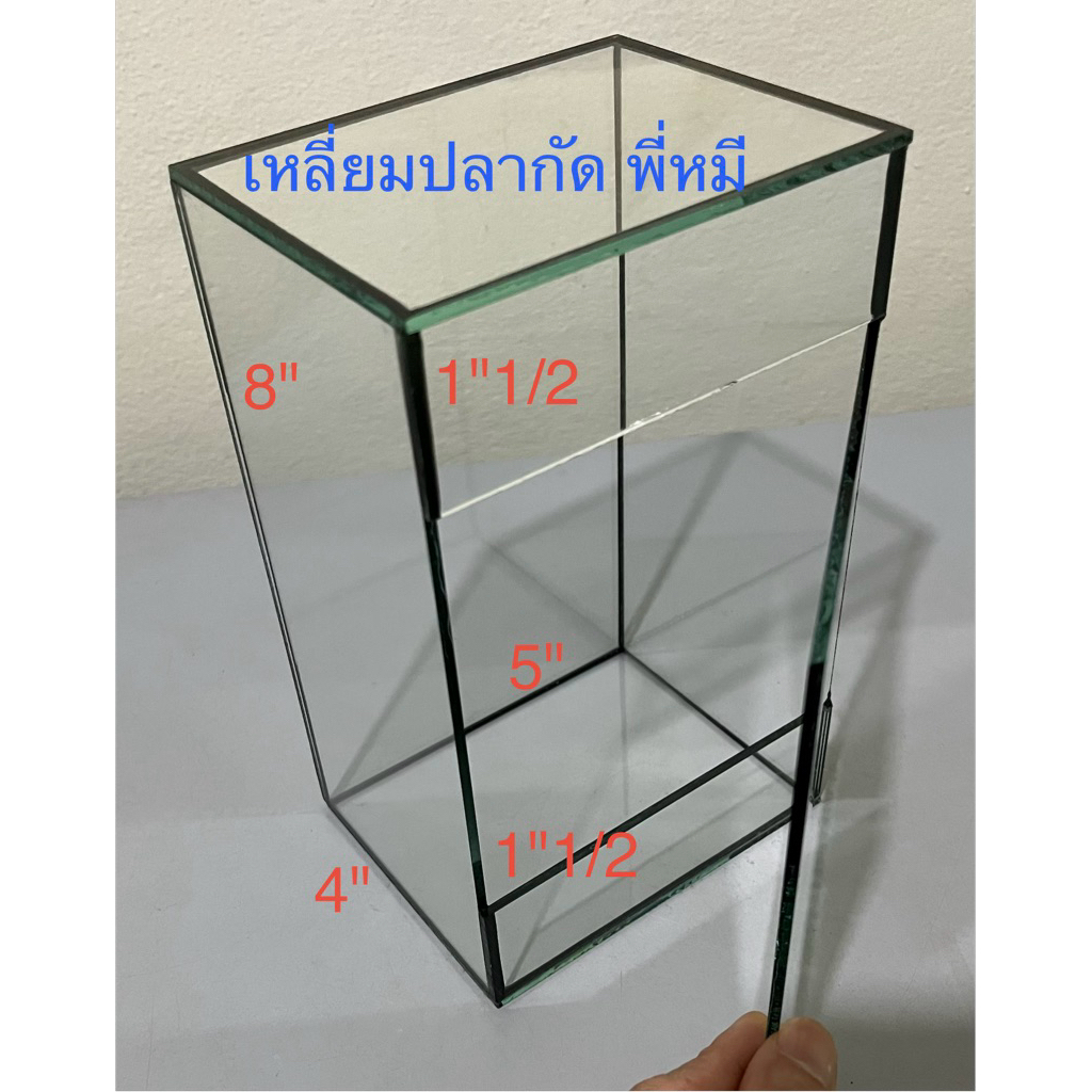 โหลเลี้ยงไม้ชื้นเปิด/ปิดได้