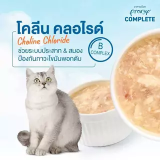 (12ซอง)Pramy Complete พรามี่ อาหารเปียกแมวสูตรComplete 60g. 12ซอง