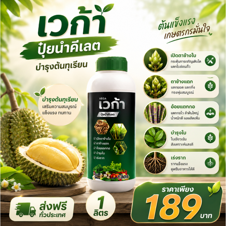 เวก้าปุ๋ยนำคีเลต บำรุงต้นทุเรียน  เปิดตาข้างใบ ตาข้างแตก อ้อยแตกกอ บำรุงใบ เร่งราก 1ลิตร
