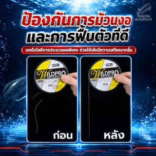 เอ็น สายตกปลาไนลอน 100เมตร สายเบ็ด เส้นเอ็นเหนียว ทนทานต่อการเสียดสี ป้องกันการม้วนงอ จมง่าย คุณภาพจากประเทศญี่ปุ่น