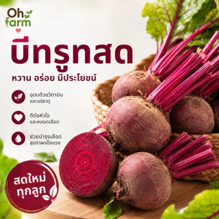 บีทรูท Beetroot สดสะอาด คัดทุกหัว
