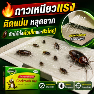 ที่ดักแมลงสาบ กาวดักแมลงสาบ 10 ชิ้น กับดักแมลงสาบ แผ่นดักแมลงสาบ ปลอดสารเคมี ไร้กลิ่น ใช้งานง่าย ดักได้จริง