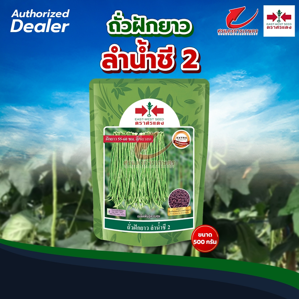 เมล็ดพันธุ์ ถั่วฝักยาว ลำน้ำพอง2 (เมล็ดเคลือบ) (500กรัม)