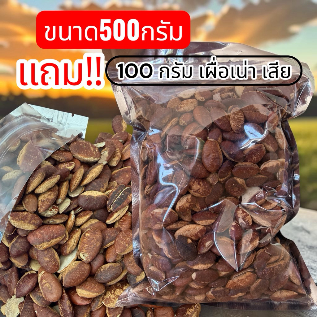 กระบกคั่วเกลือ 500กรัม แถม 100กรัม (เผื่อเน่า เสีย)