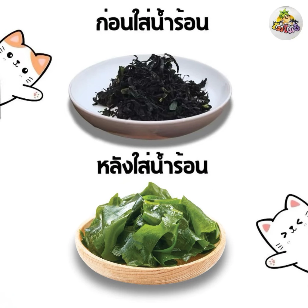 สาหร่ายวากาเมะขนาด100g สาหร่ายทะเลอบแห้งใชประกอบอาหาร สุกี้ ต้มจืด thumbnail 7