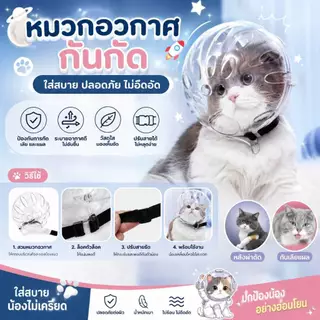 Boqi Factory ที่คลุมหัวแมวสัตว์เลี้ยงที่แข็งแรงระบายอากาศได้ หมวกนิรภัยลูกแมวป้องกันการกัด Cutehead