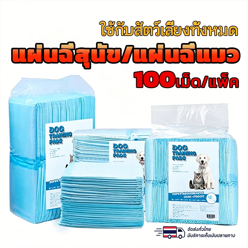 แผ่นรองฉี่สุนัข แผ่นรองฉี่กระต่าย แผนรองฉี่สุนัข ห้องน้ำหมา แผ่นรองฉี่สัตว์เลี้ยง ช่วยฝึกขับถ่าย ระงับกลิ่น ซึมซับไดีดี