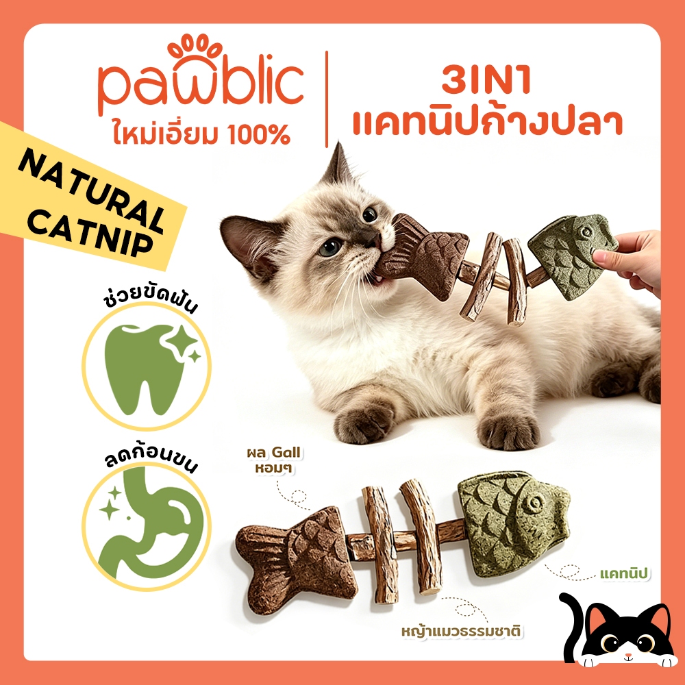 Pawblic ของเล่นแมว แคทนิปแมว ไม้มาทาทาบิ ก้างปลากัดแทะ 3in1 ช่วยขัดฟัน ลดหินปูน ของเล่นแมวคลายเครียด