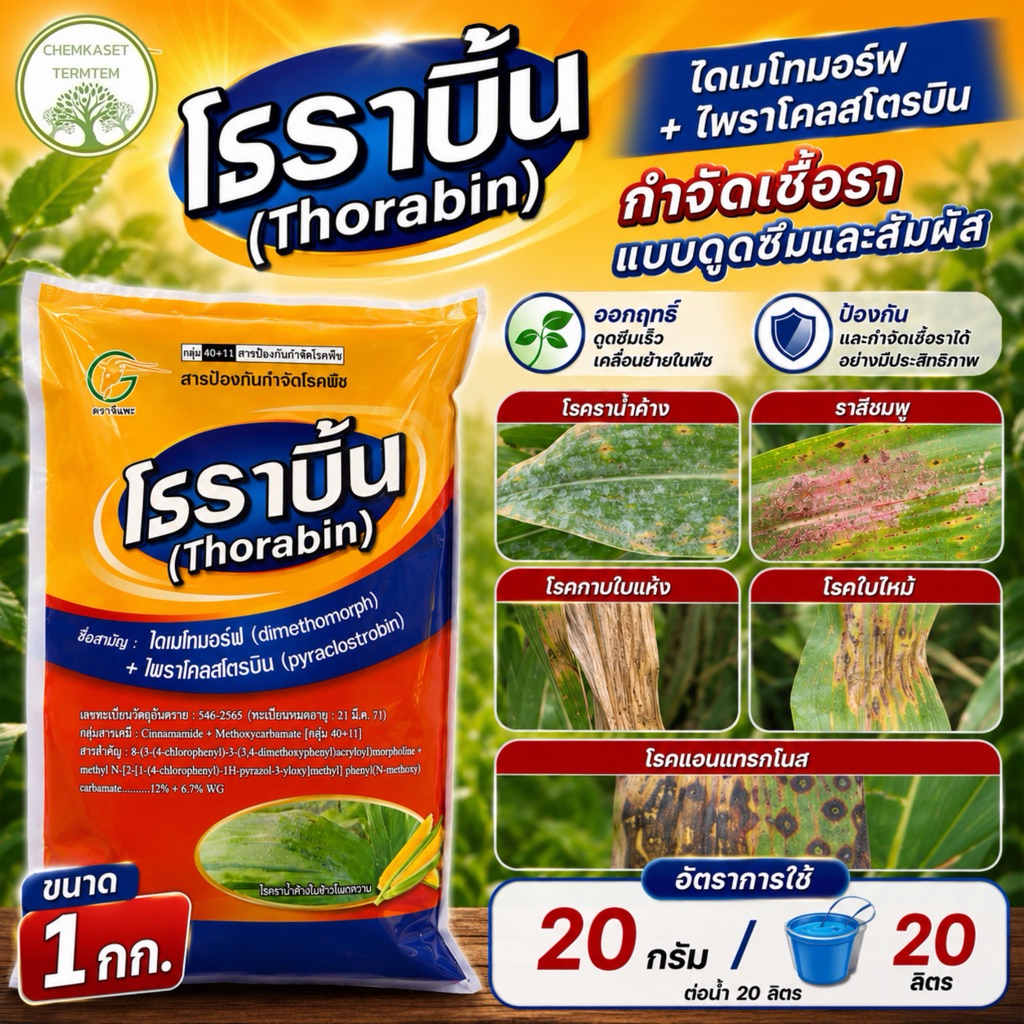 โธราบิ้น(ไดเมทโทมอฟ+ไพราโคสโตรบิน)ขนาด 1 กก 🥬สารป้องกันกำจัดโรคพืชที่เกิดจากเชื้อรา