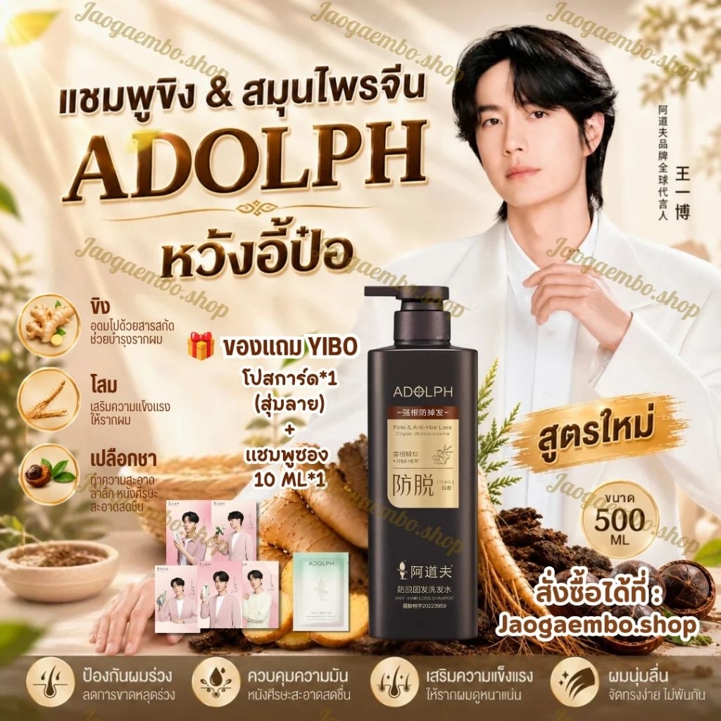 ✅ พร้อมส่ง สูตรใหม่ 2.0‼️เเชมพูขิง&สมุนไพรจีน ADOLPH หวังอี้ป๋อ ขนาด 500ml สารสกัดเข้มข้น ลดผมร่วง คุมมัน ผมนุ่มลื่น
