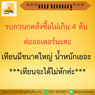 เทียนพรรษาแกะลาย (ราคาต่อ 1 ต้น) (บรรจุ 1 ต้น) (ไม่รวมเชิงเทียน)