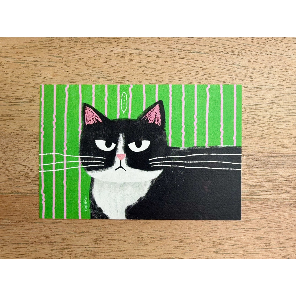 Postcard catโปสการ์ดแมวหนวดยืด