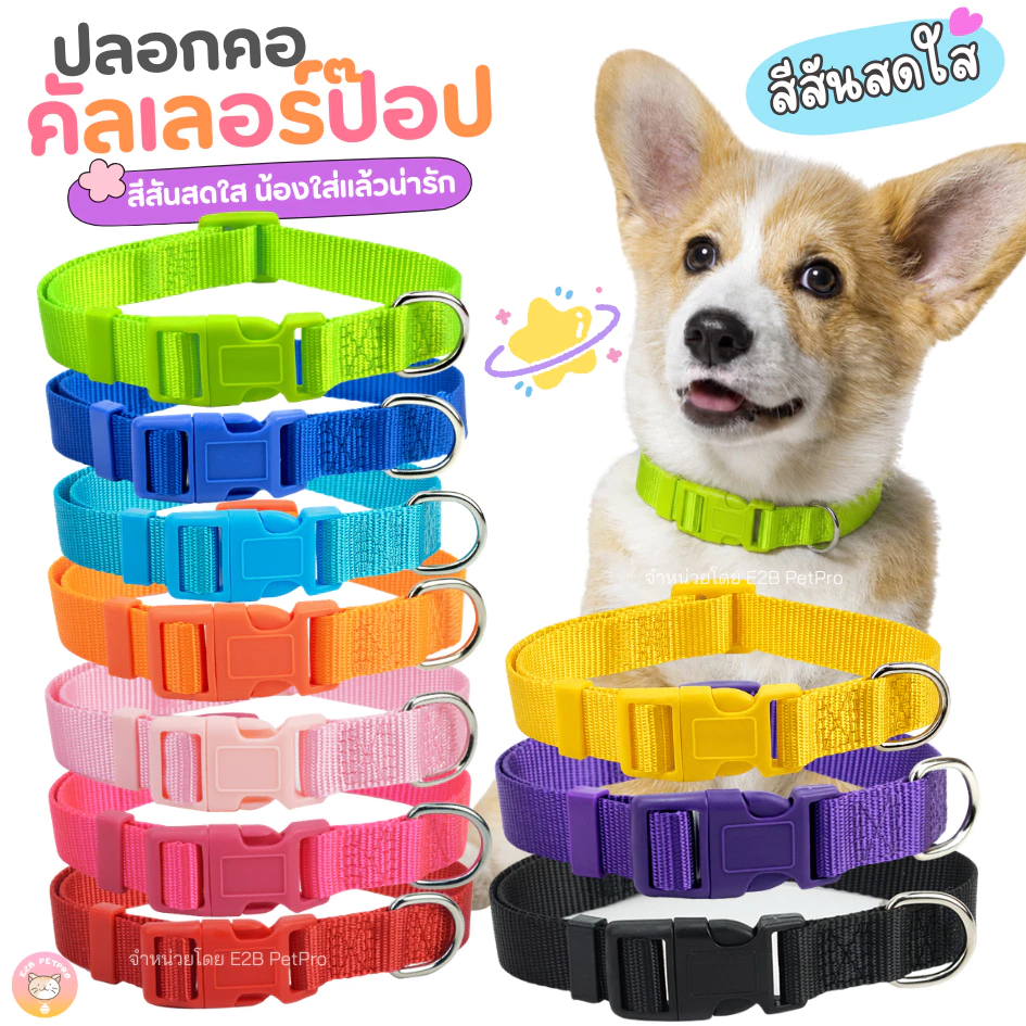 ปลอกคอคัลเลอร์ป๊อป ปลอกคอสุนัข สีโดดเด่น มองเห็นง่าย C084