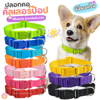 ปลอกคอคัลเลอร์ป๊อป ปลอกคอสุนัข สีโดดเด่น มองเห็นง่าย C084