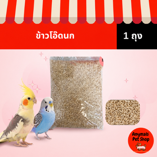 (แบ่งขาย 1kg.) ข้าวโอ๊ต อาหารนกแก้ว และ สัตว์ฟันแทะ ทุกชนิด