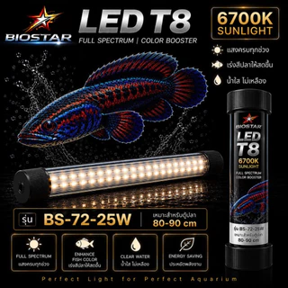 หลอดไฟใต้น้ำT8 BIOSTAR LED T8 6700K SUNLIGHT เปลี่ยนตู้ปลาธรรมดา ให้สวยโดดเด่นในทันที! ขนาด BS-26/36/52/72/92