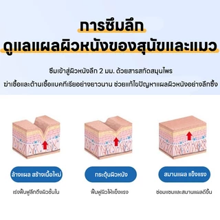 ✅ช่วยให้แผลแห้งไว✅สเปรย์ฉีดแผลแมว ยาใส่แผลสุนัข ยาใส่แผลแมว อ่อนโยน ไม่แสบ สำหรับสุนัขและแมว ช่วยทำความสะอาดแผล ไม่เลีย