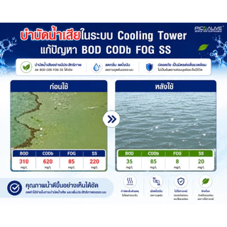 Dr.G Bio Max Odor Extra 100g. จุลินทรีย์ลดกลิ่นส้วม ย่อยสลายไขมัน ลดท่อตัน By Pico Alive