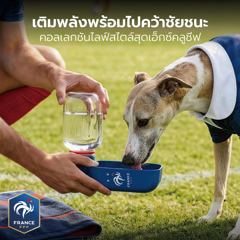 Petstar زجاجة مياه للحيوانات بوعاء مدمج — صورة 2
