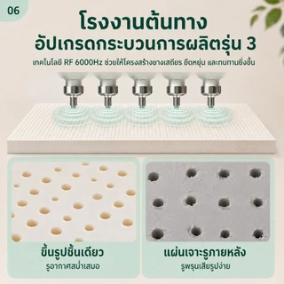 ที่นอนยางพาราแท้ 100% หนา 3 นิ้ว ลดแรงกดทับ บอกลาอาการปวดหลัง ระบายความร้อนอย่างดี สัมผัสนุ่มแน่น ส่งฟรี