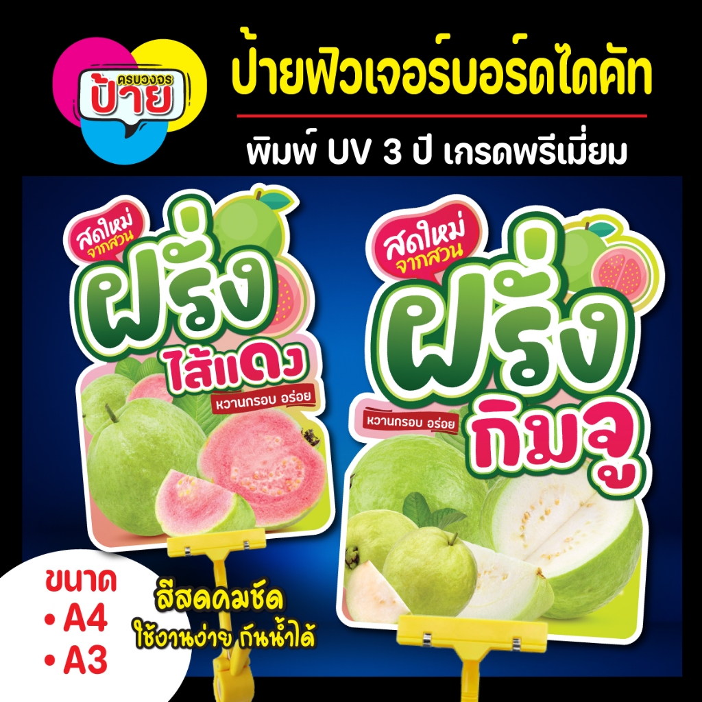 ป้ายฝรั่ง ฝรั่งกิมจู ฝรั่งไส้แดง ป้ายฟิวเจอร์บอร์ดฝรั่ง