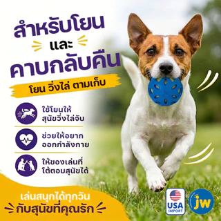JW Crackle Heads Crackle Ball Dog Toy บอลยางทนทาน กลิ่นวานิลา สอดไส้วัสดุขวดน้ำ กัดแล้วเสียงดังสะใจ