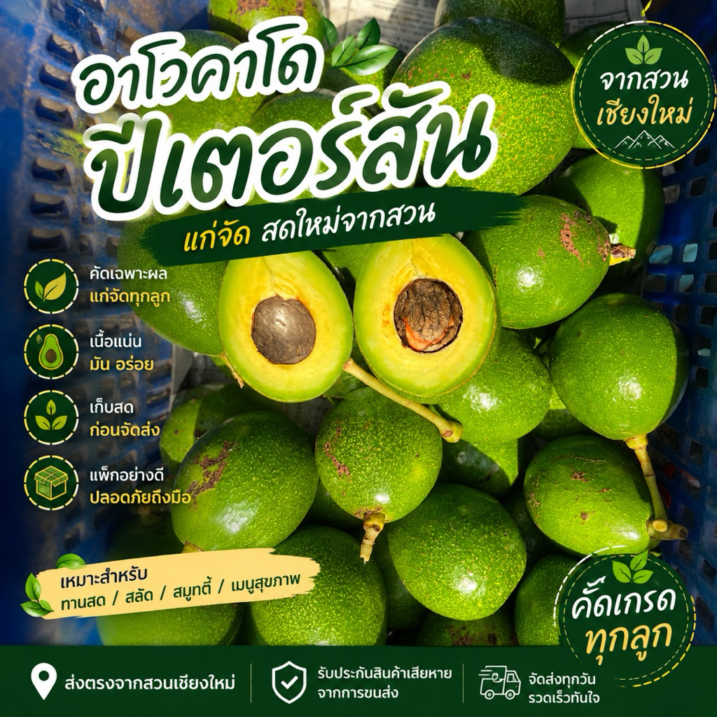 อาโวคาโด พันธุ์ปีเตอร์สัน พร้อมส่ง 1kg.(เก็บสดตามออเดอร์)คัดเก็บลูกที่แก่จัดรับประกันคุณภาพเสียหายแจ้งเคลมได้เลยค่ะ🥑